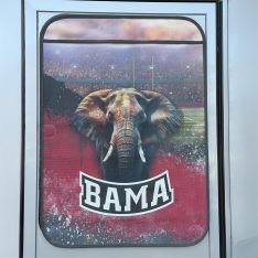 Collegiate Entry Door Shades - Class A RV
